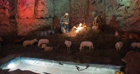 Staw z rybkami w szopce