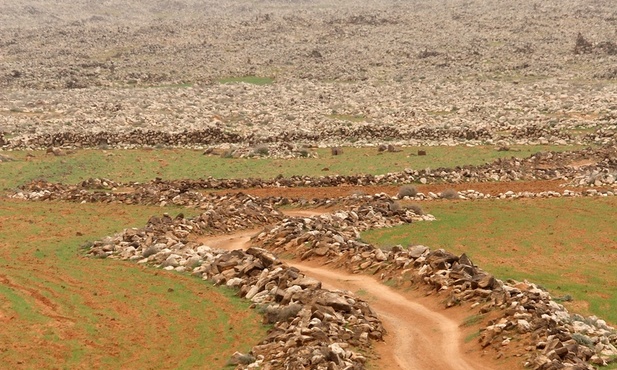 Obserwatorium: rozejm w Syrii w zasadzie przestrzegany