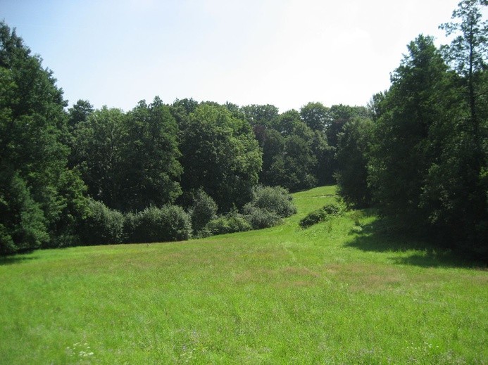 Pałace w Krzeszowicach wróciły do Potockich