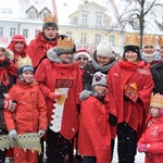 W Świebodzicach najbardziej zaangażowała się młodzież