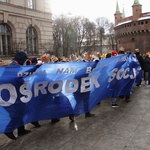 Orszak Trzech Króli - Kraków 2017, człony niebieski i zielony