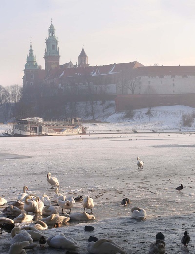 Zamarznięta Wisła w centrum Krakowa