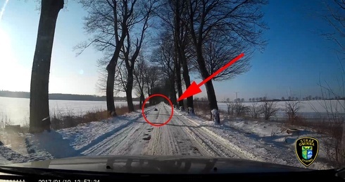 Spał na drodze, znalazła go straż gminna