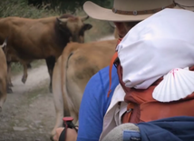 Pewnego dnia w USA w Arizonie pojawiło się niezwykłe ogłoszenie...