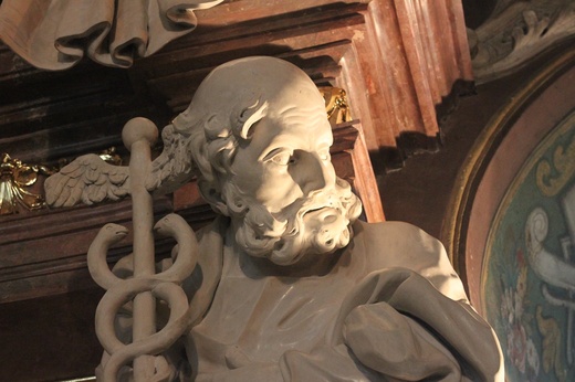 Aula Leopoldyńska nabiera blasku