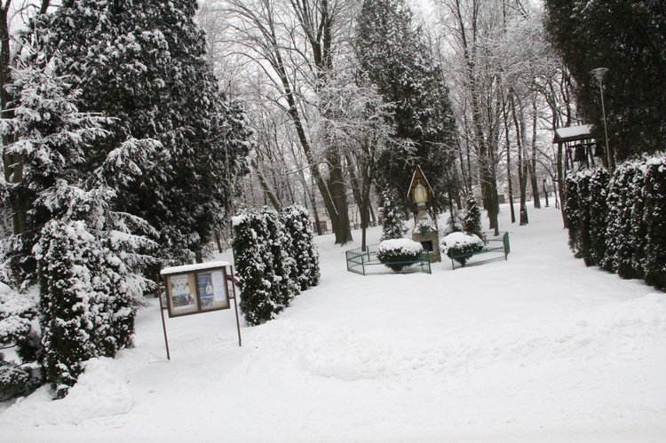 Parafia karmelitów w Lipinach