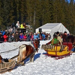 Parada Gazdowska w Małem Cichem