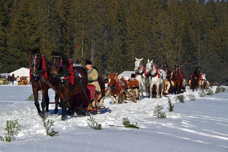 Parada Gazdowska w Małem Cichem