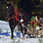 Parada Gazdowska w Małem Cichem