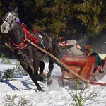 Parada Gazdowska w Małem Cichem