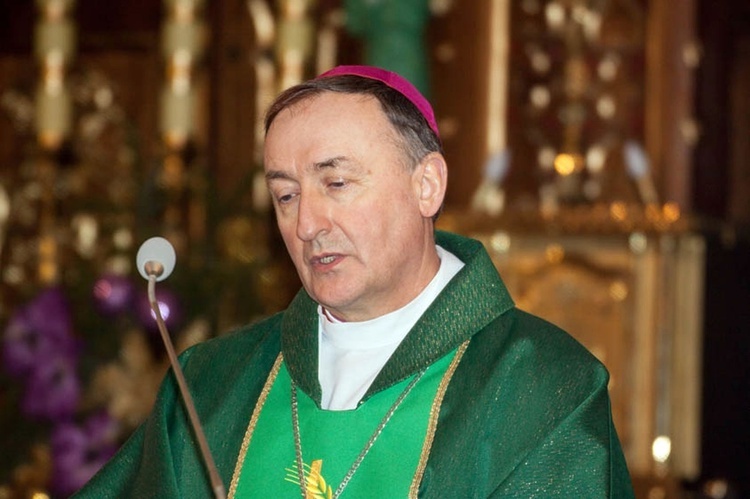 Strażacy z powiatu mieleckiego