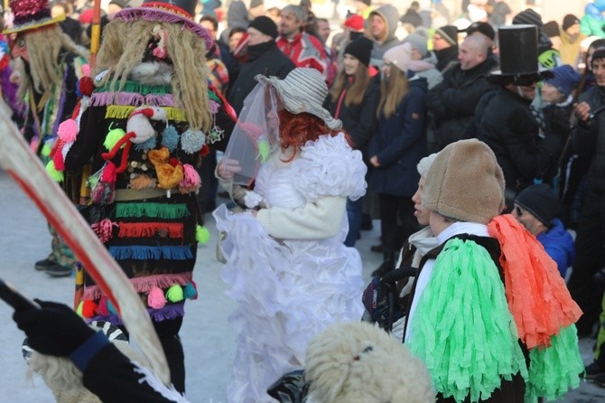 Gody Żywieckie w obiektywie - 2017