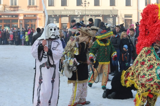 Gody Żywieckie w obiektywie - 2017