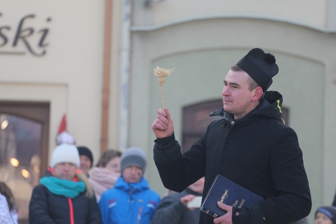 Gody Żywieckie w obiektywie - 2017