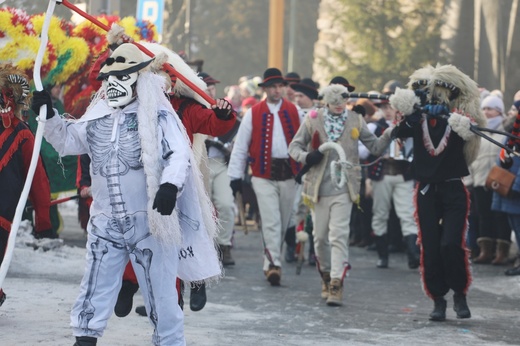 Gody Żywieckie w obiektywie - 2017