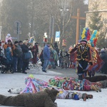 Gody Żywieckie w obiektywie - 2017