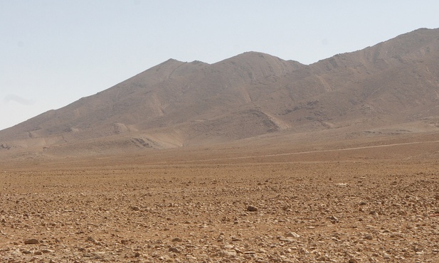 Raport AI o Syrii: 13 tys. osób powieszonych w jednym tylko więzieniu