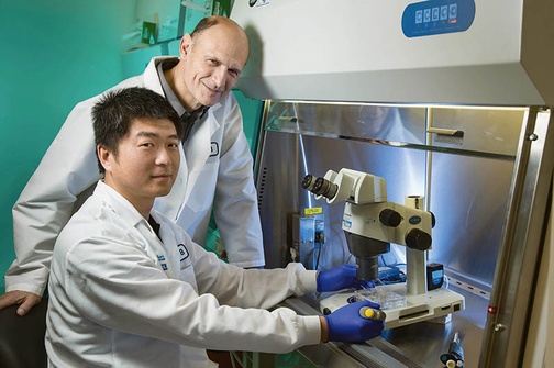 Naukowcy z Instytutu Salka w Kalifornii – Jun Wu (na pierwszym planie) i Juan Carlos Izpisua Belmonte – stworzyli organizm z dwóch różnych organizmów – człowieka i świni.Taki twór nazywa się chimerą.