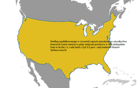 Raport: Co piąty imigrant przebywa w USA nielegalnie
