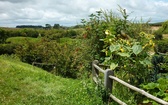 Hobbiton Movie Set - wioska hobbitów w Nowej Zelandii