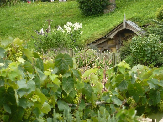 Hobbiton Movie Set - wioska hobbitów w Nowej Zelandii