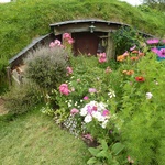 Hobbiton Movie Set - wioska hobbitów w Nowej Zelandii