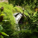 Hobbiton Movie Set - wioska hobbitów w Nowej Zelandii