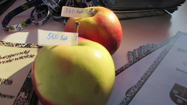 Happening w Skierniewicach