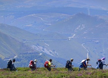 Camino na ekranie