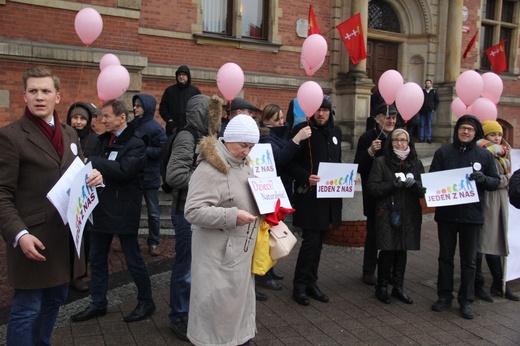 Protest przeciwko programowi in vitro