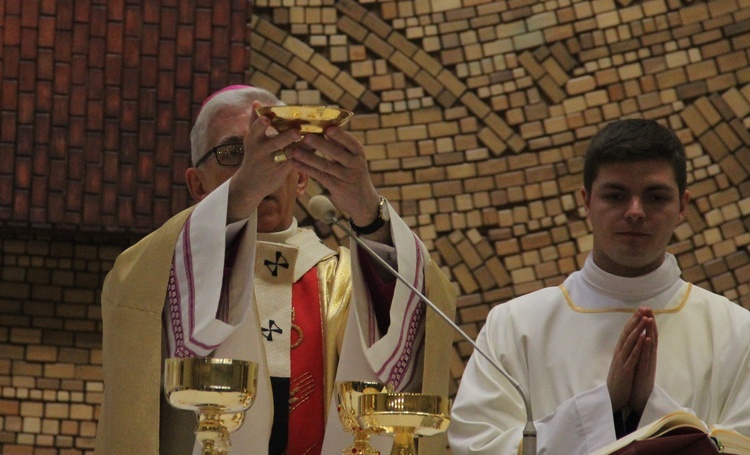 Święcenia diakonatu w kościele Podwyższenia Krzyża i św. Herberta w Katowicach, 25 lutego 2017.