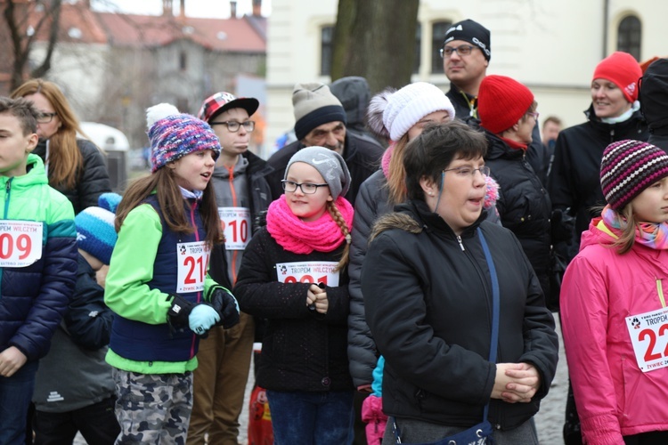 Bieg Tropem Wilczym w Żywcu - 2017