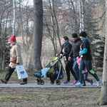 Trop wiódł przez Park Norweski