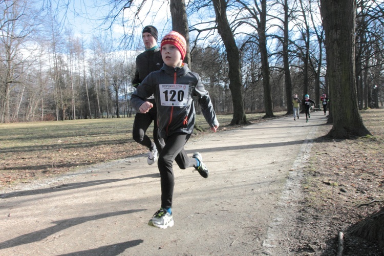 Trop wiódł przez Park Norweski