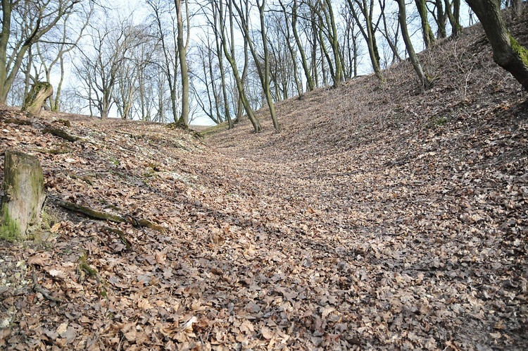 Józefów nad Wisłą będzie miastem?