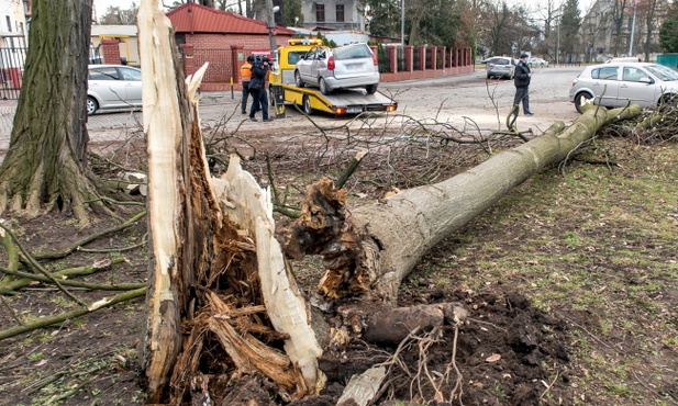 Po wichurach jedna ofiara śmiertelna, ponad 800 interwencji strażaków