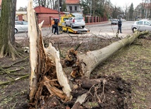 Po wichurach jedna ofiara śmiertelna, ponad 800 interwencji strażaków