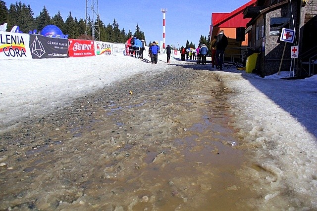 Bieg Piastów po raz 41.