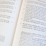 Biblia Aramejskia Targum Neofiti 1 - Księga Wyjścia 