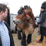 Jarmark Koński w Skaryszewie