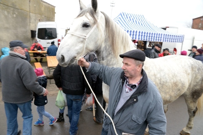 Jarmark Koński w Skaryszewie