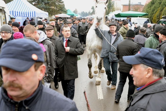 Jarmark Koński w Skaryszewie