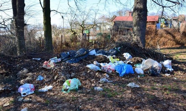 Kości zostały zasypane