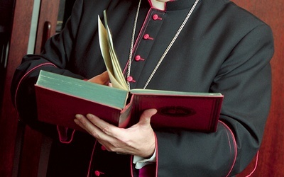 ◄	– Pragnę, żeby synod był okazją do dojrzałej wymiany uwag – mówi biskup gliwicki.