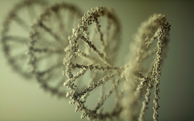 Dane w DNA?