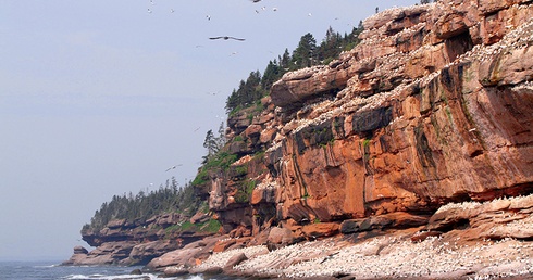 W Kanadzie ślady życia znaleziono w skałach, które przed miliardami lat stanowiły dno oceanu.