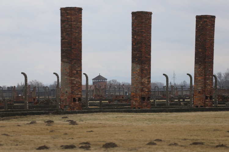 Droga Krzyżowa w intencji trzeźwości w byłym KL Birkenau 2017