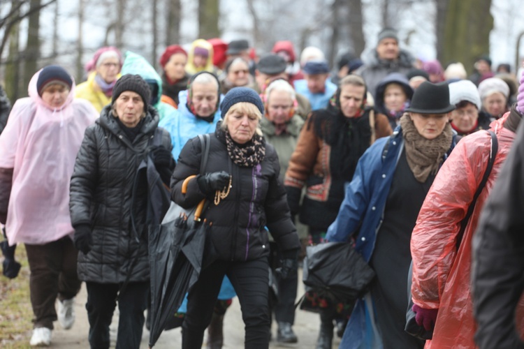 Droga Krzyżowa w intencji trzeźwości w byłym KL Birkenau 2017