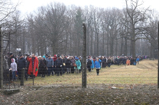 Droga Krzyżowa w intencji trzeźwości w byłym KL Birkenau 2017