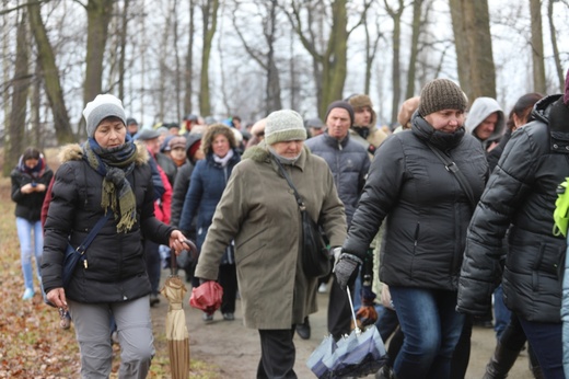 Droga Krzyżowa w intencji trzeźwości w byłym KL Birkenau 2017